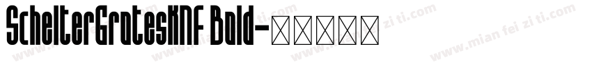 SchelterGroteskNF Bold字体转换